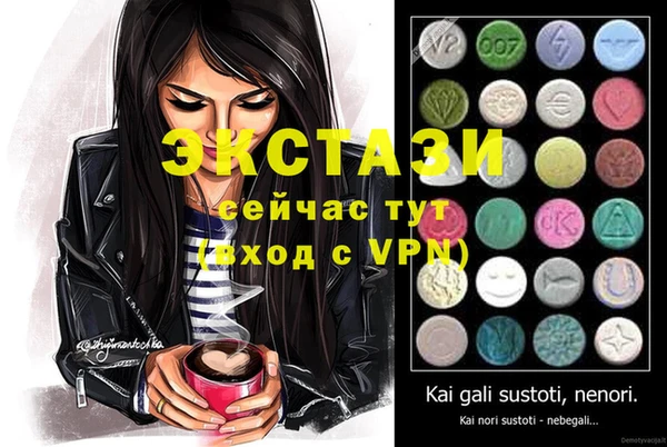 дживик Бородино