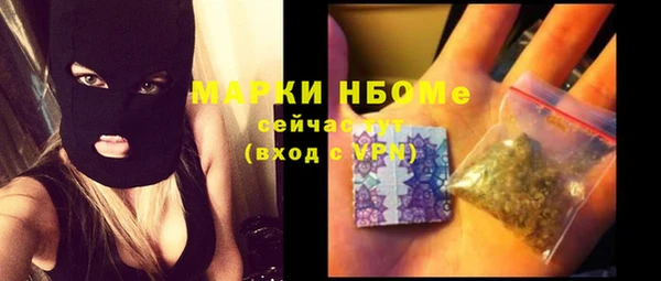 дживик Бородино