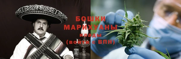 крисы Бронницы
