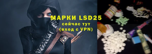 дживик Бородино