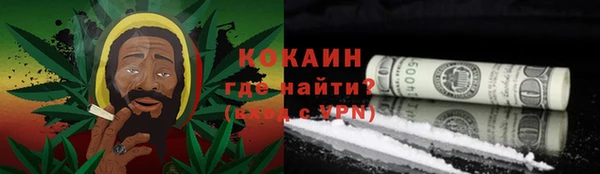 крисы Бронницы