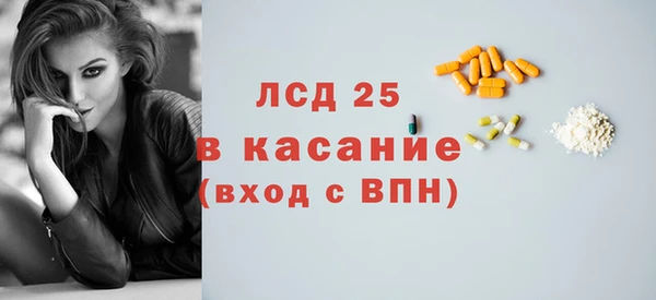 дживик Бородино