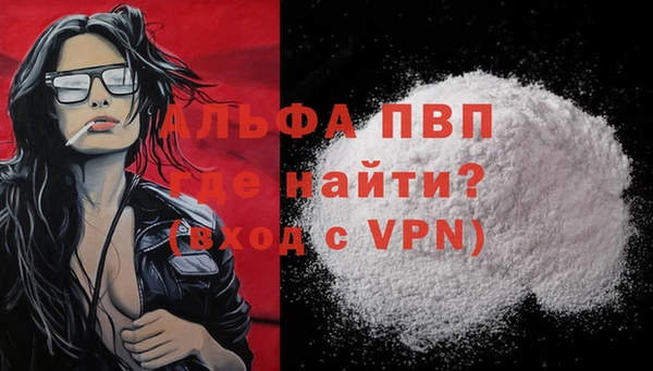 дживик Бородино