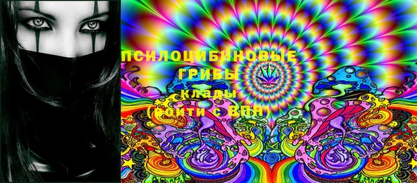 дживик Бородино