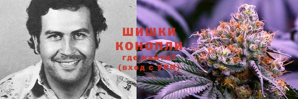 крисы Бронницы