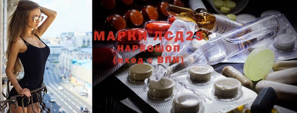 крисы Бронницы