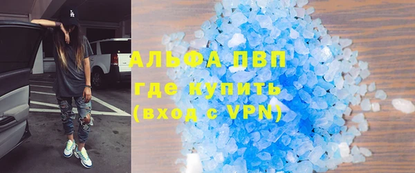 дживик Бородино